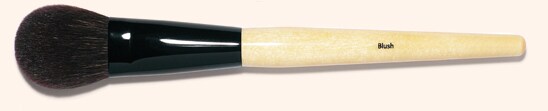 Blush Brush Blush Brush
